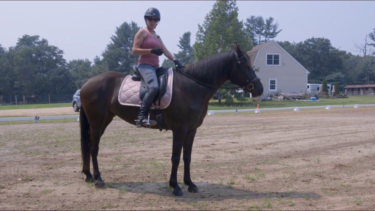 Lesson 6: How  to develop Core Strength and how to do sitting trot