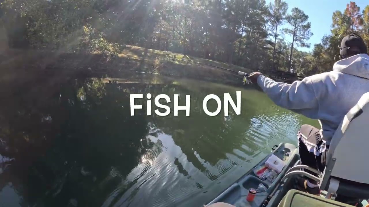 Trip to Doc Fin's pond