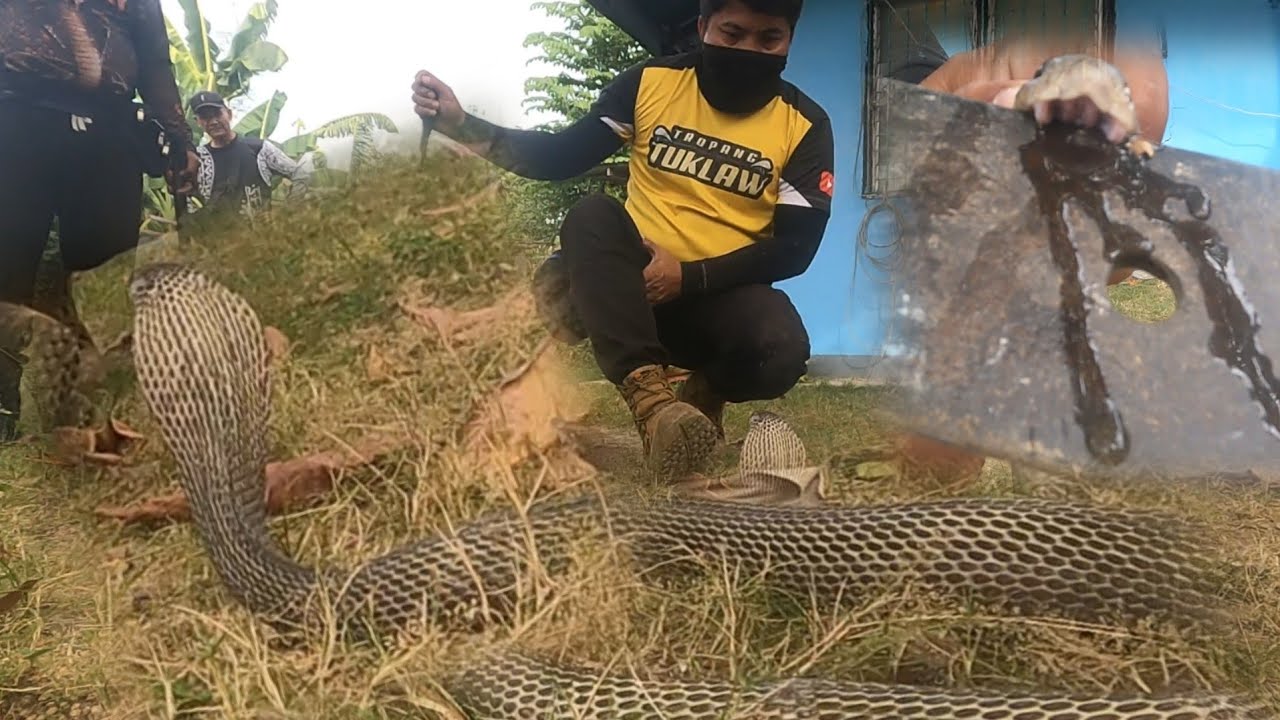 SA DAMI NG KAMANDAG NA LUMABAS KAYANG PUMATAY NG 10 TAO
