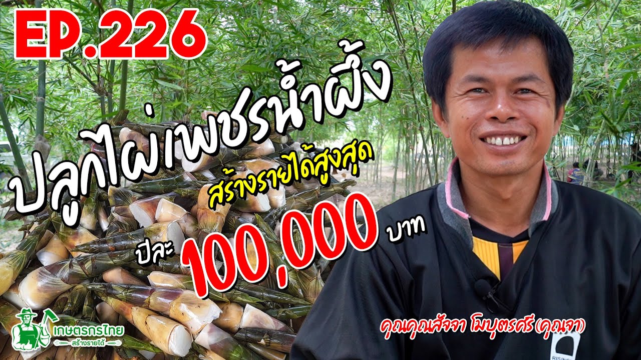 ปลูกไผ่บงหวานเพชรน้ำผึ้ง สร้างรายได้สูงสุด ปีละ100,000 บาท l เกษตรกรไทย สร้างรายได้ Ep226