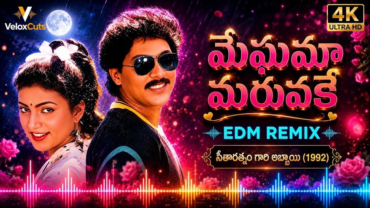 Meghama Maruvake Remix 2026 💙 Telugu Retro EDM Version