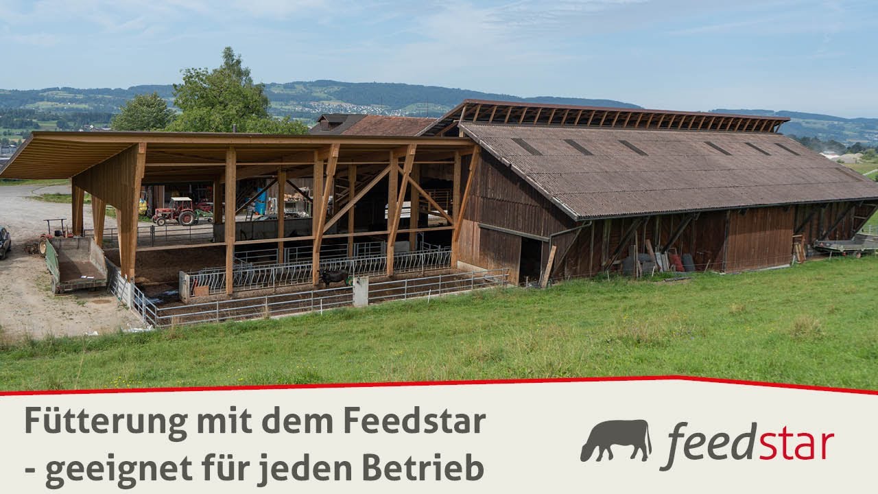 Stallumbau (kostensparend) mit Futterband - beidseitige Fütterung mit unterschiedlichen Rationen