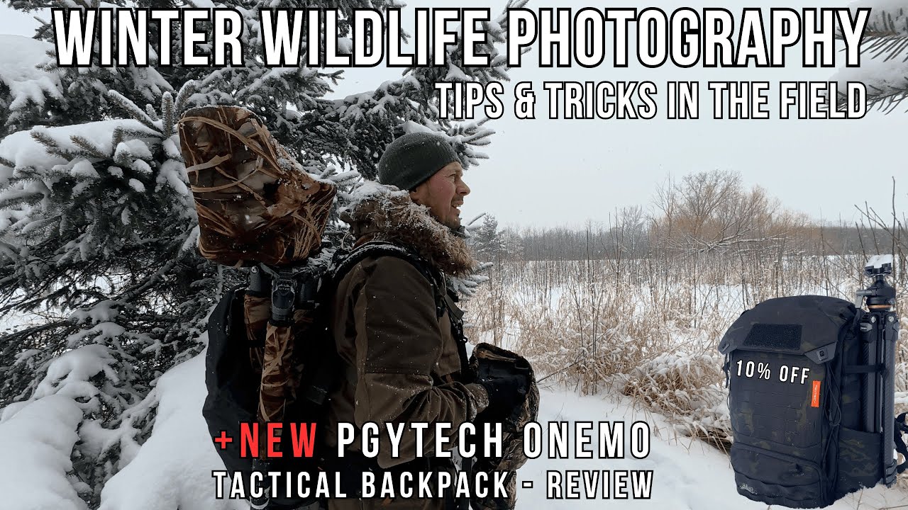 WINTER Wildlife PHOTOGRAPHY in the SNOW | NEW PGYTECH 35L OneMo Tactical Backpack Review