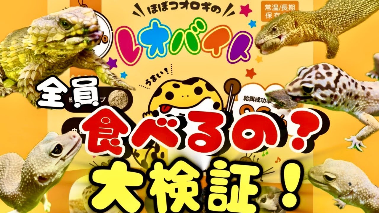 【全員検証！】レオバイトをあげてみたらみんな食べた？！【人工餌】