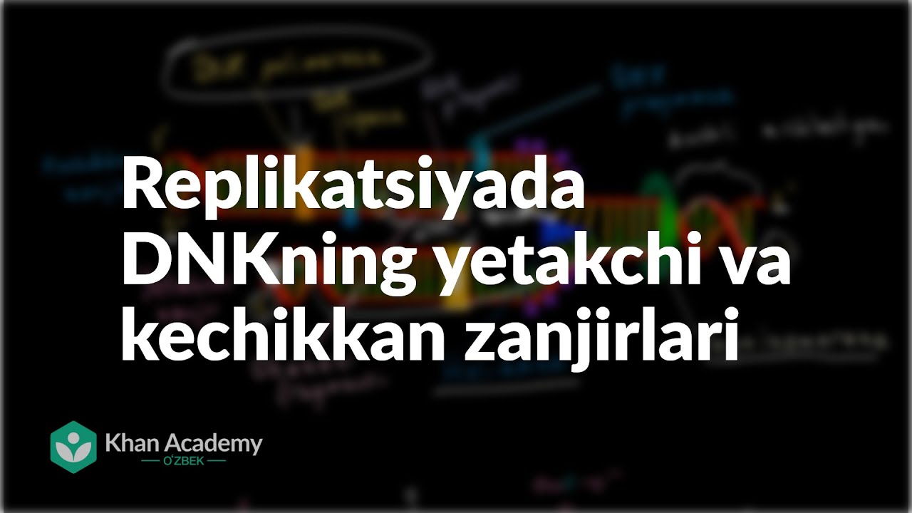Replikatsiyada DNKning yetakchi va kechikkan zanjirlari | DNK genetik axborot sifatida | Biologiya