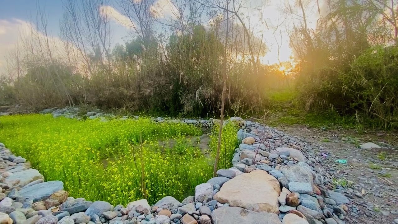 Village Vibes 🌾 | Peaceful Spring Countryside Scenery