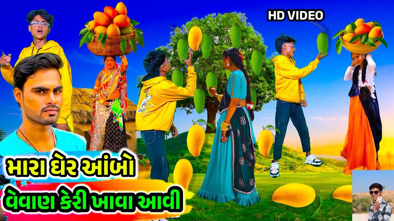 Navji pargi / मारे घेर आम्बो वेवण केरी खावा आवी singar navji pargi timli dahud damor dance video!!