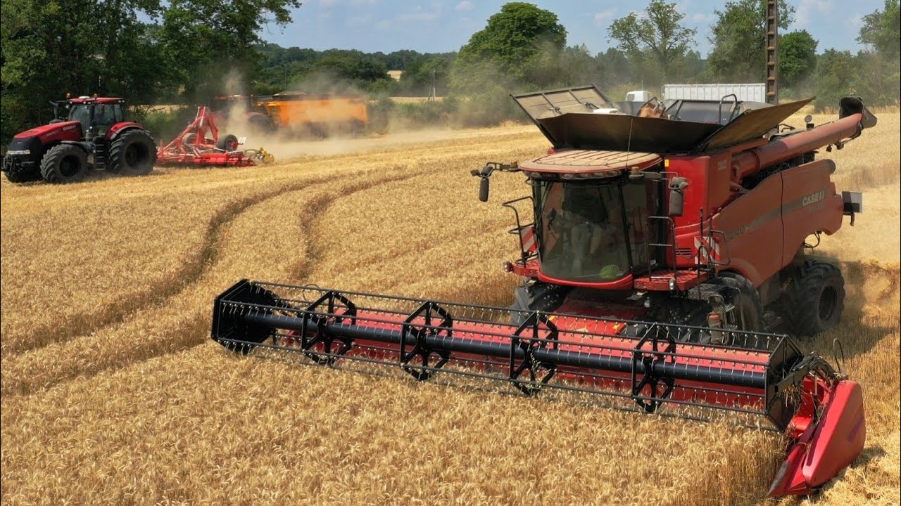Moisson du Blé 2019 Full CASE IH à Jantes noires |  AXIAL 7240 | Optum 250 |  Magnum 380