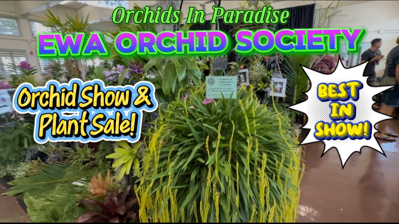 Ewa Orchid Society Orchid Show & Plant Sale!