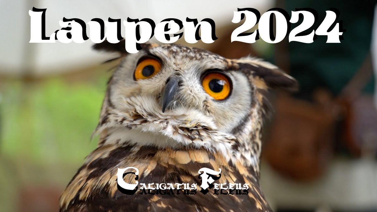 ✠ Mittelaltermarkt Laupen 2024 Caligatus Feleus ✠