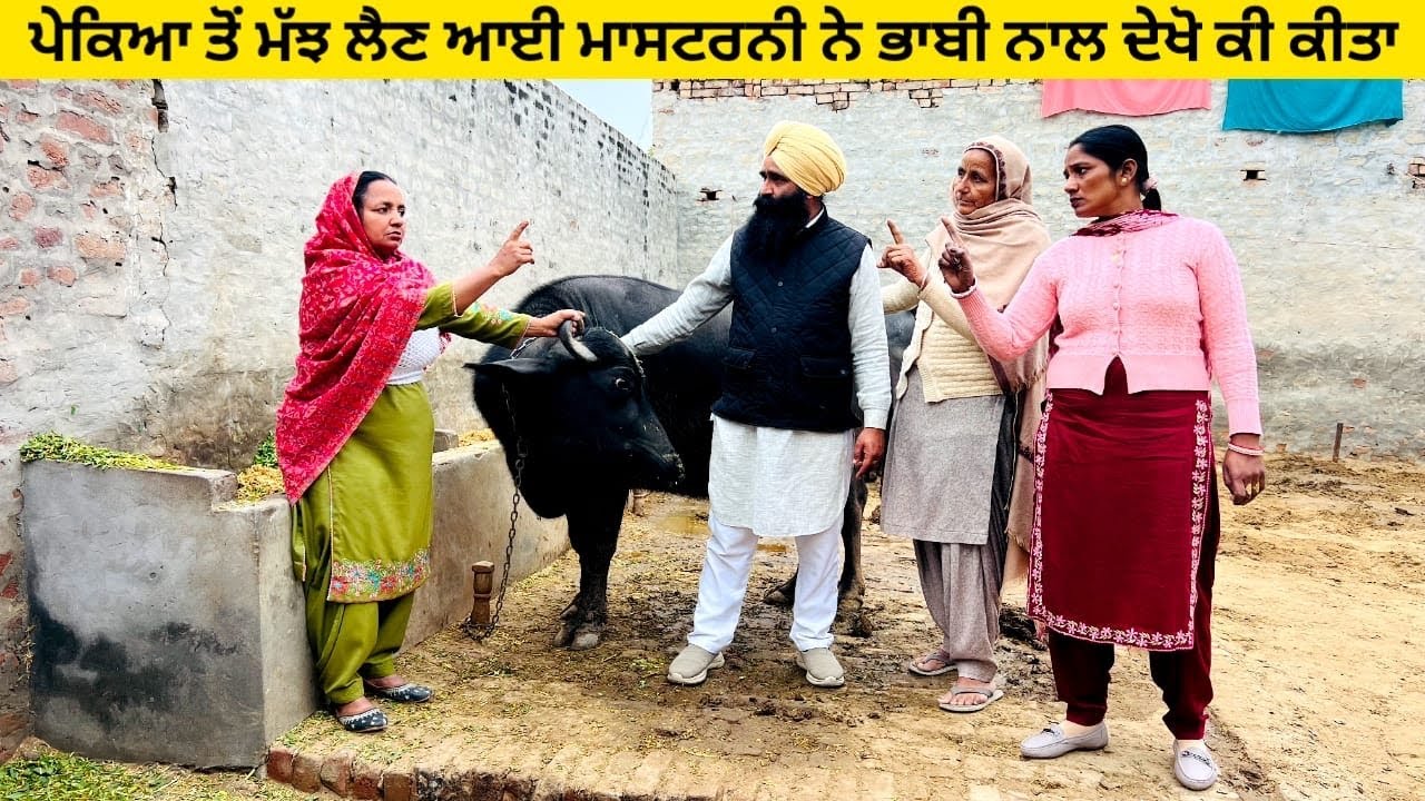 ਪੇਕਿਆ ਤੋਂ ਮੱਝ ਲੈਣ ਆਈ ਮਾਸਟਰਨੀ ਨੇ ਭਾਬੀ ਨਾਲ ਦੇਖੋ ਕੀ ਕੀਤਾ punjabi short video #wakhrisochchannel #majh