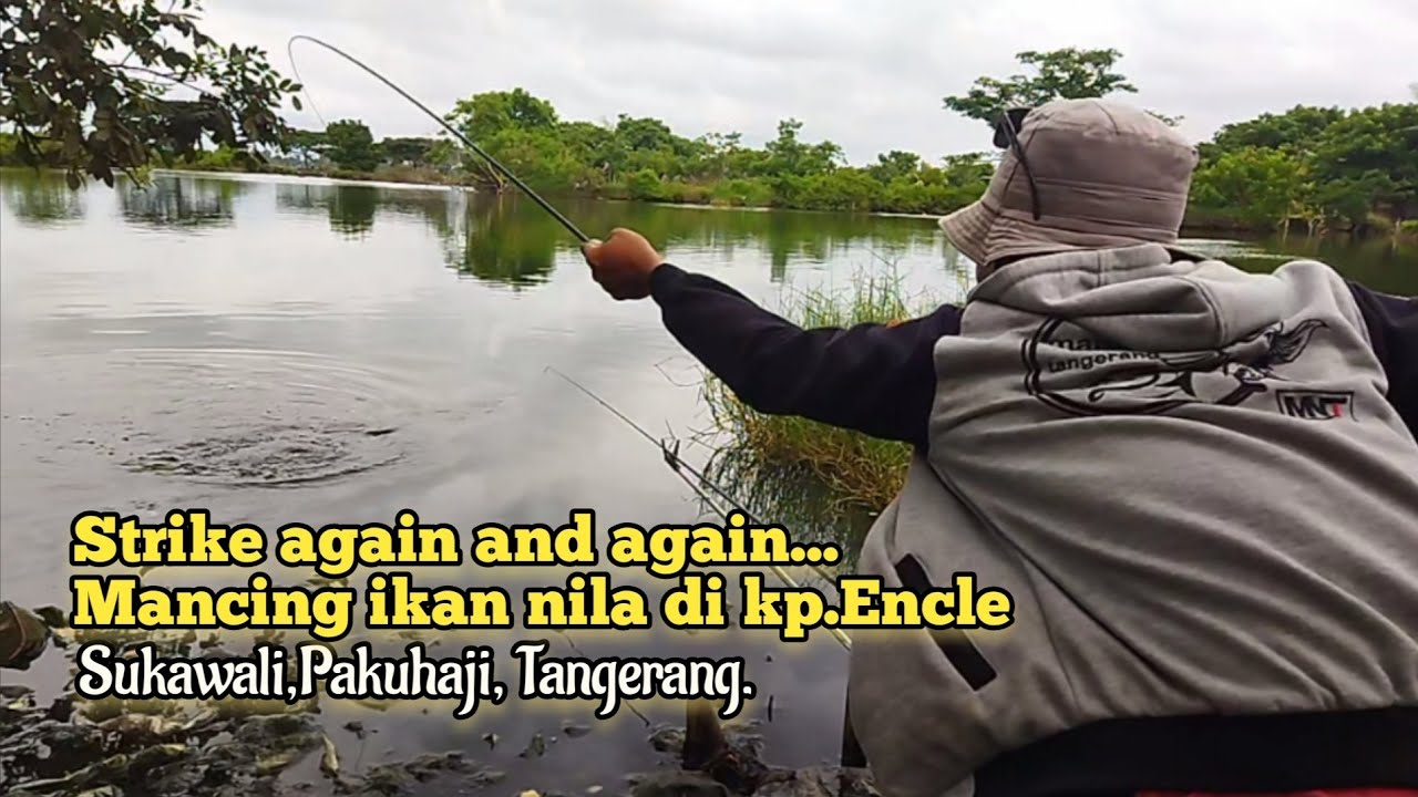 Strike again and again...mancing ikan nila di kp.Encle || Sukawali || Pakuhaji || Tangerang ||