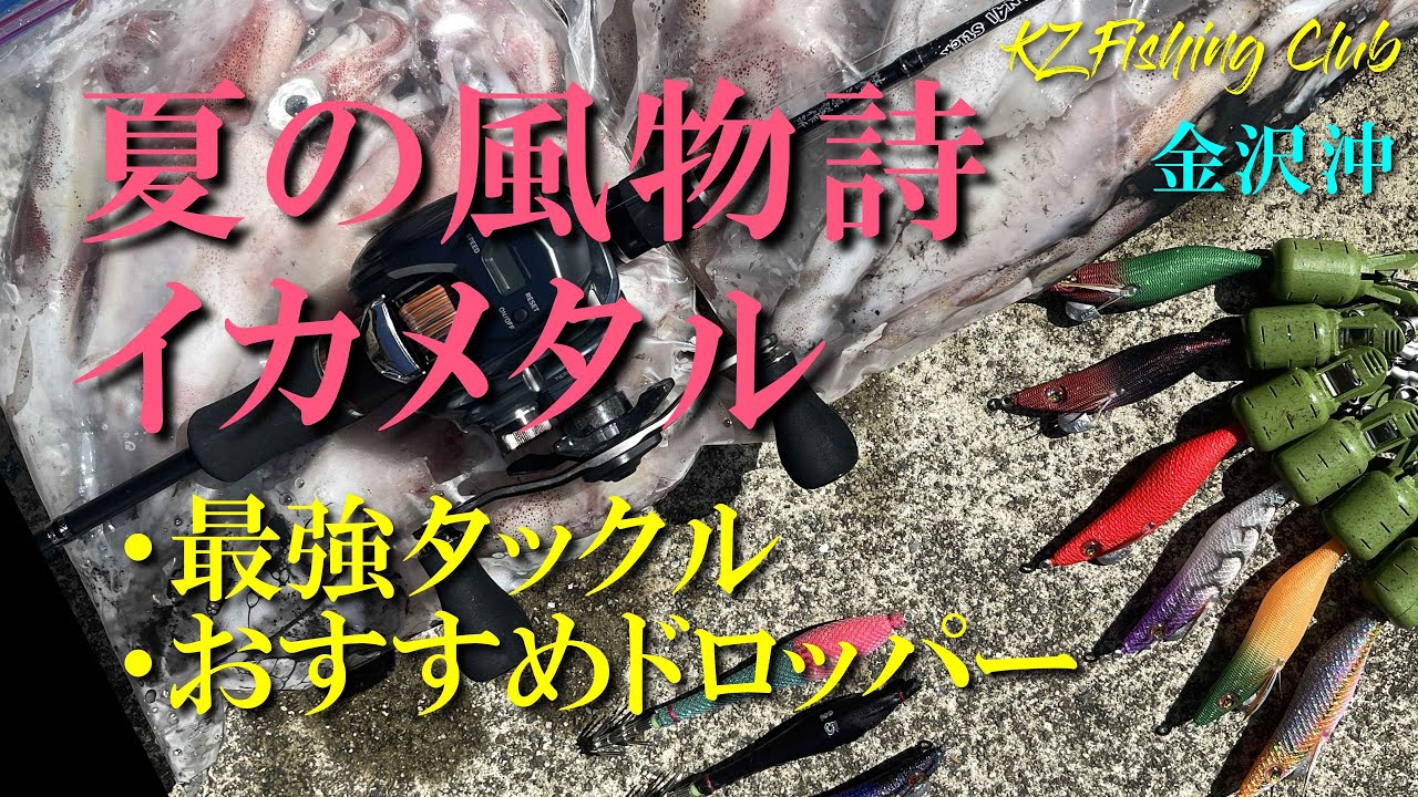 【エギング】イカメタル最強ドロッパー 金沢沖  #ショアケンサキ#ゴーストフォール#ケンサキイカ
