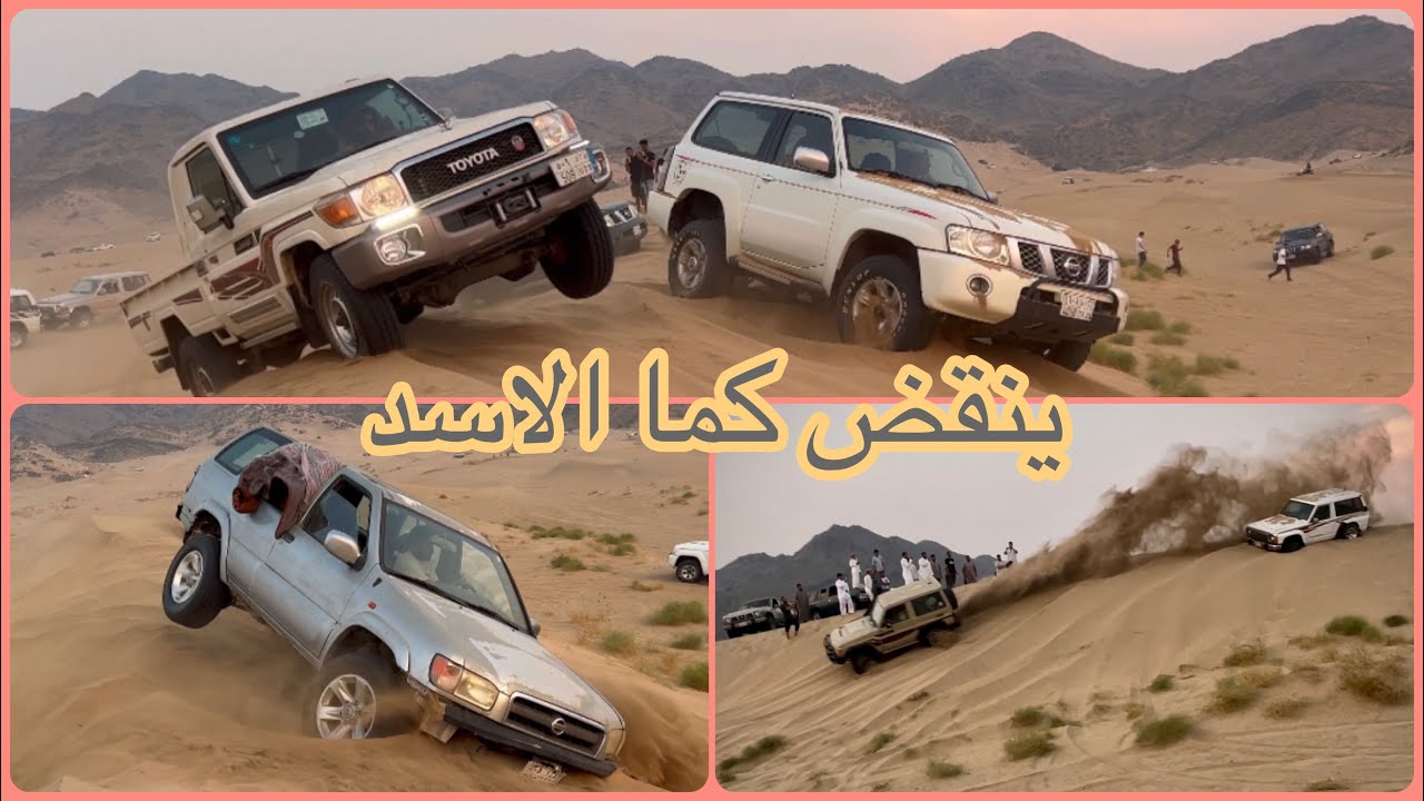 علمنا فهمنا … عنده مناعه ضد الفهم 🤣🤣