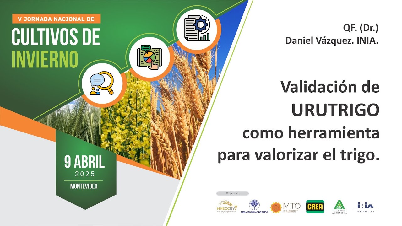 Validación de URUTRIGO como herramienta para valorizar el trigo.