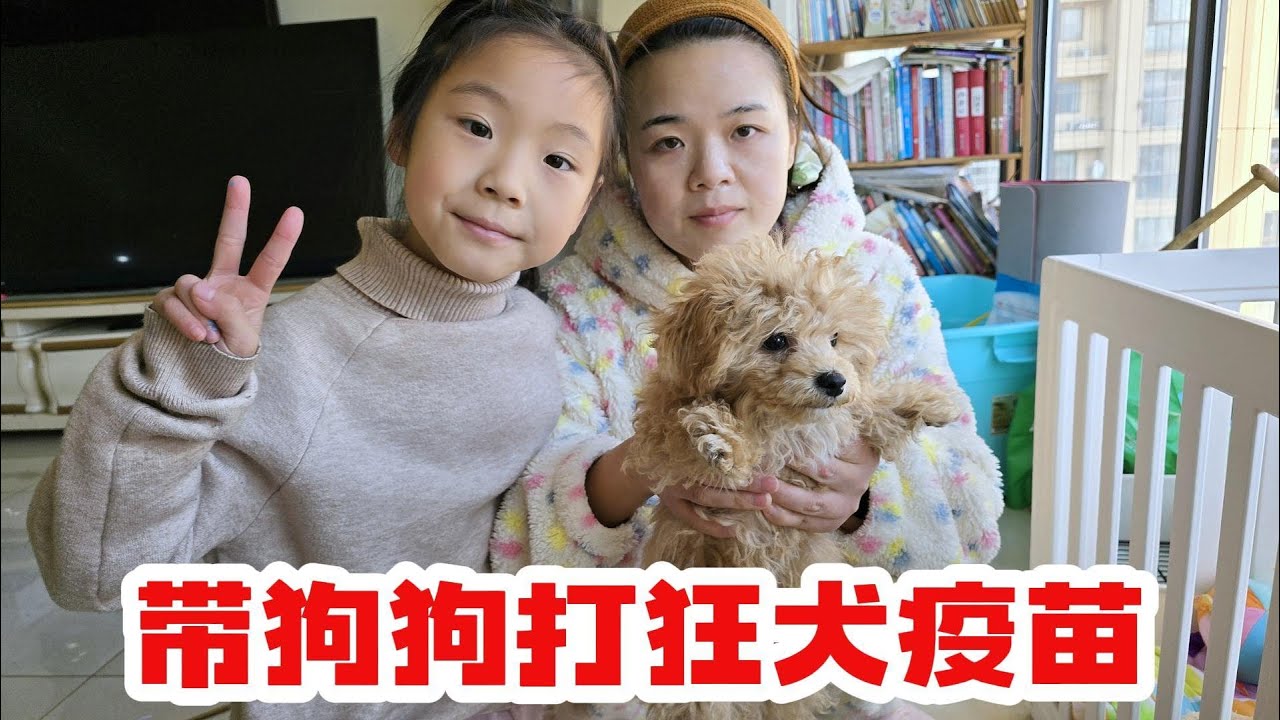 带奶茶去打狂犬疫苗