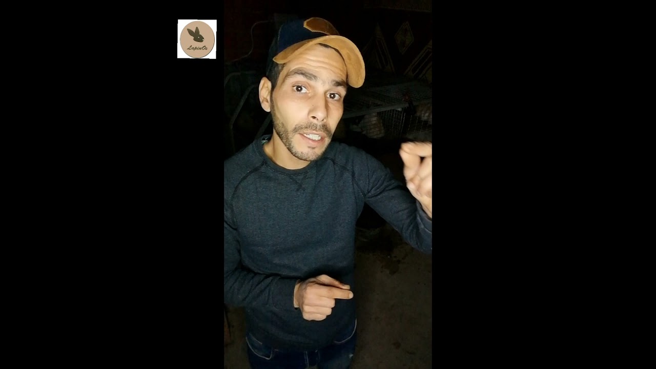 نجاح تربية الارانب من هاوي الى محترف نسبة تحويل الفطام