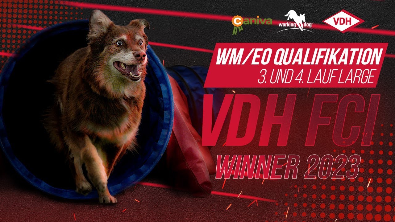 VDH FCI-WM/-EO Qualifikation Agility 1./2. Lauf Intermediate und Large // Winners