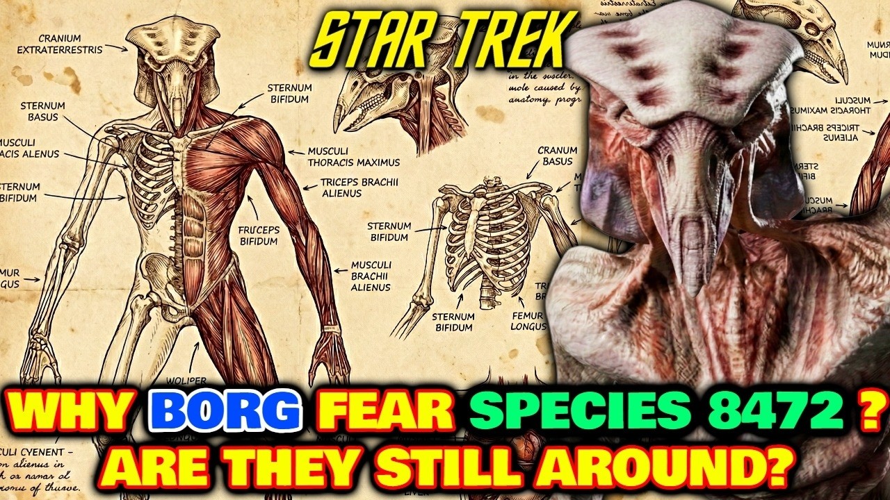 Species 8472 Origin + Anatomy - Why Everyone Fears Them Even The Borg? What Happened To Them In End?