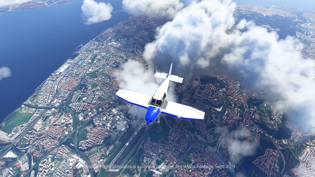 MICROSOFT FLIGHT SIMULATOR - PREVIEW