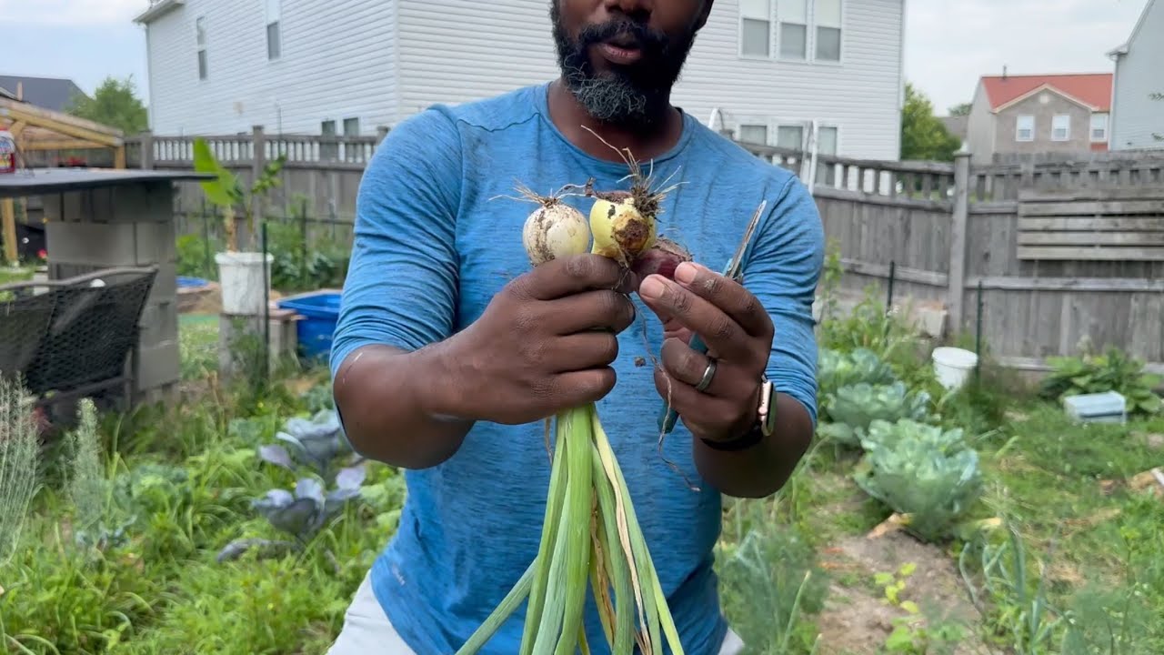 Garden Tour, Harvesting, Planting, Maintenance