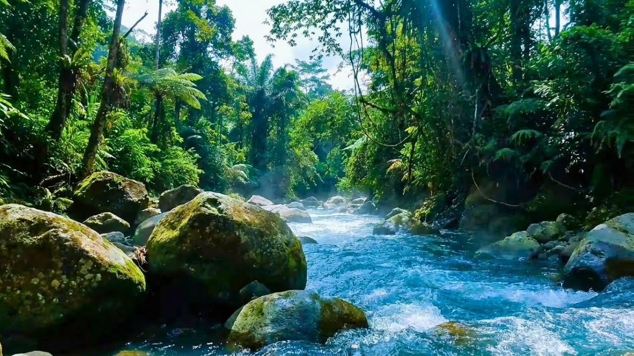 Relaxing River Flow Live 24/7 – Gentle Water Sounds & Green Noise for Better Sleep and Focus