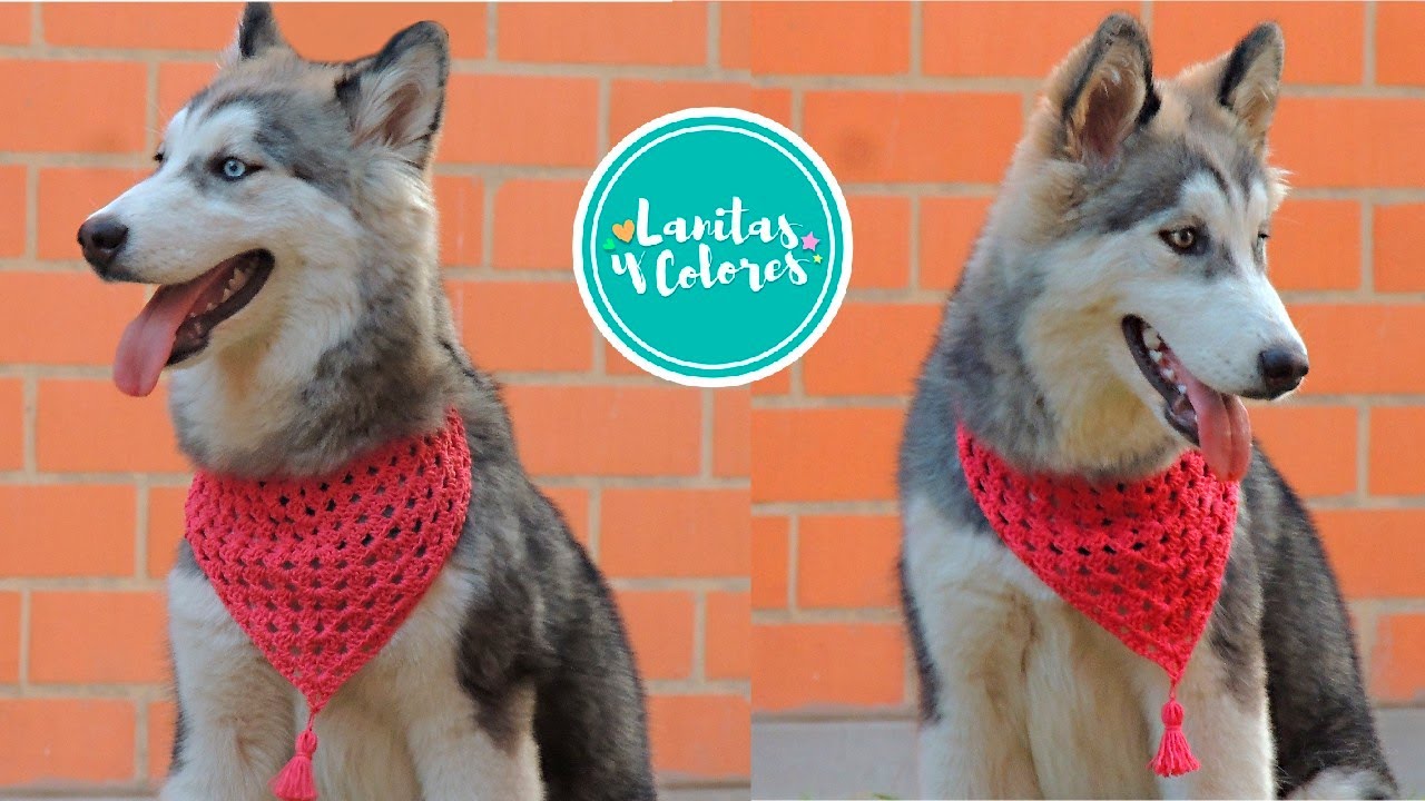 🐶❤ Красивый треугольный шарф для ПЭТ связан крючком | Шерсть и цвета