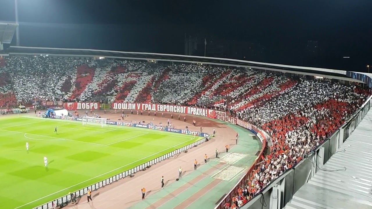 Red Star Belgrade - Napoli | Champions league | Koreo