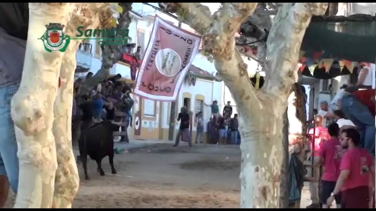 Passagem de toiros na Av. “O Século”, seguido de largada