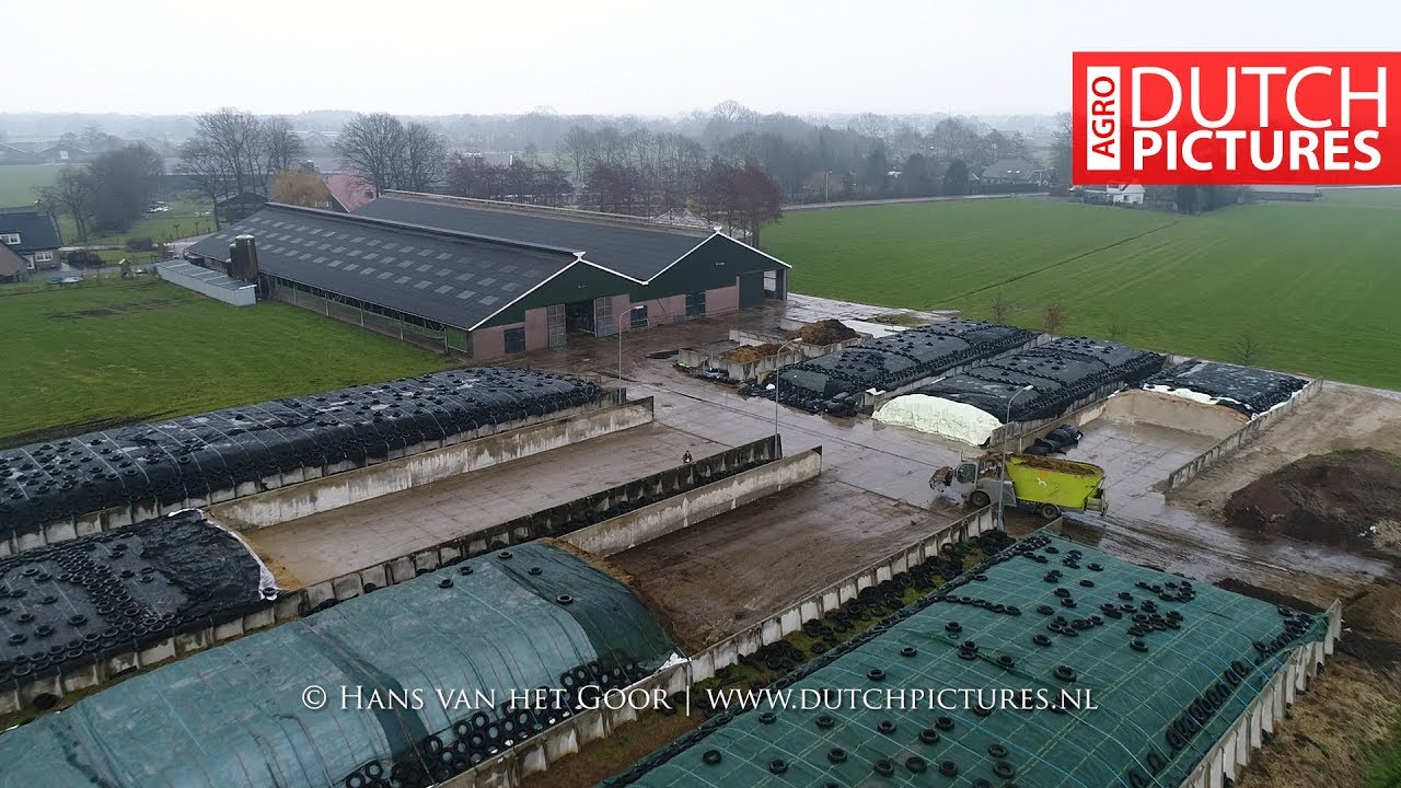 Dutch Dairy farm - Van Heerikhuize Melkvee | Molkerei | DJI Phantom 4 Advanced