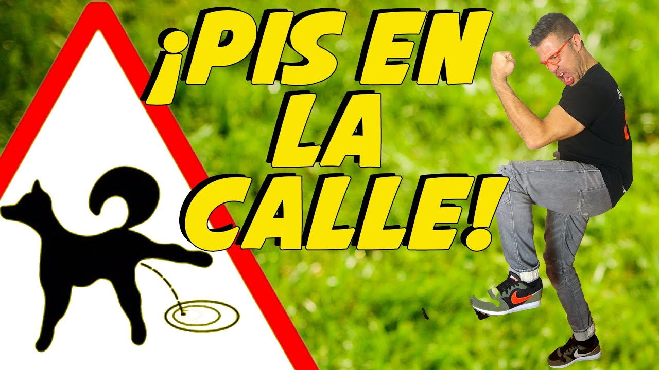 Enseñar a un Cachorro a hacer sus necesidades en la Calle 🐶✌🏼| Cómo Educar Perros 📝