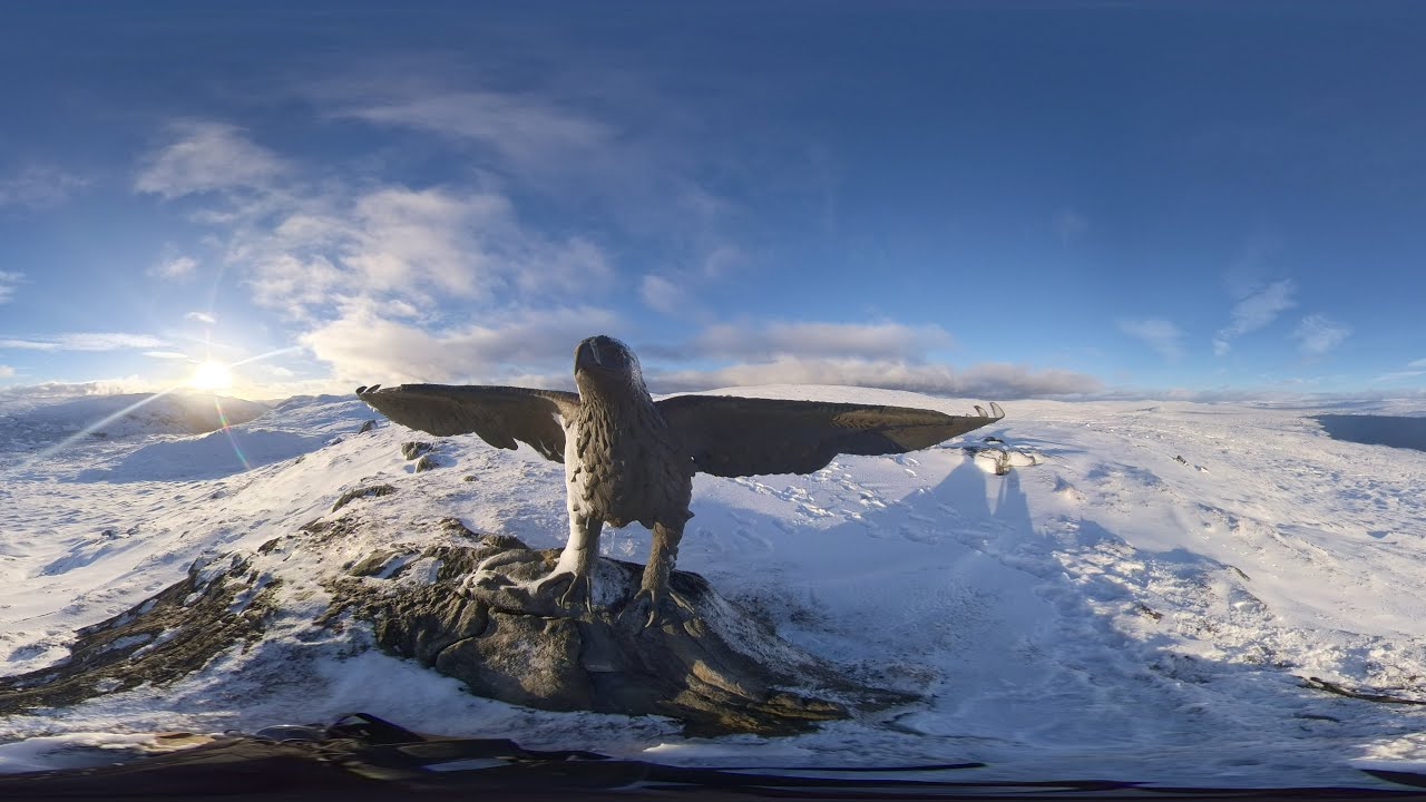 The Glendoe eagle statue 🦅🏴󠁧󠁢󠁳󠁣󠁴󠁿