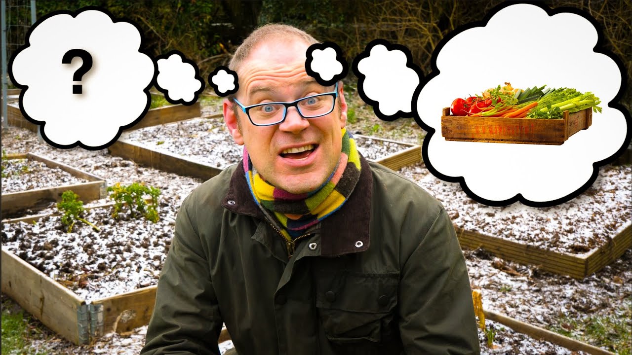 How to Choose the BEST Vegetables to Grow in Your Garden