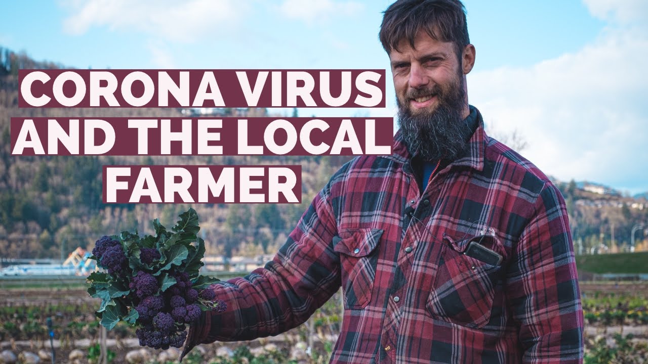 #coronavirus and the #local #farmer - during the pandemic