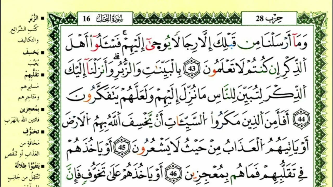 سورة النحل القارئ ياسين الجزائري ورش