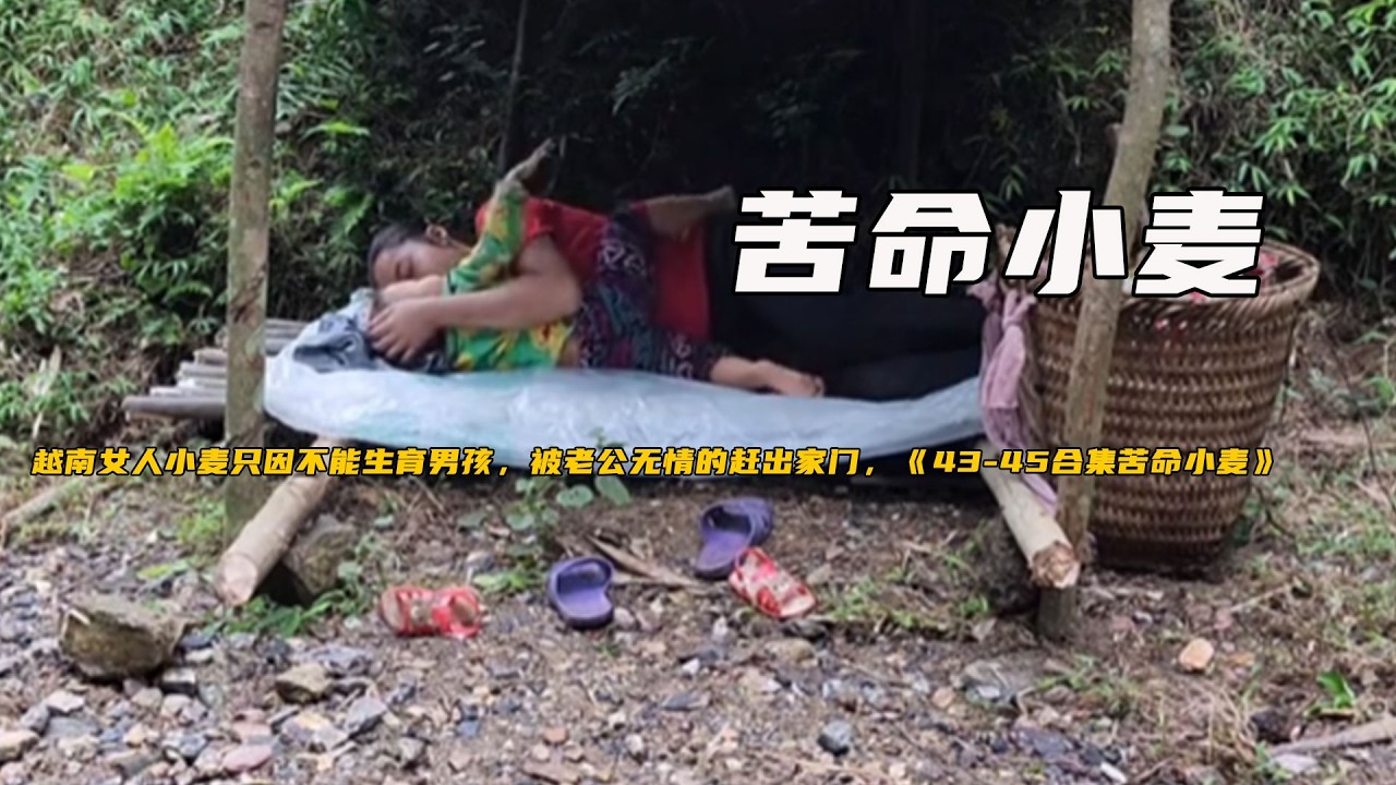 越南女人小麥只因不能生育男孩，被老公無情的趕出家門，《43-45合集苦命小麥》