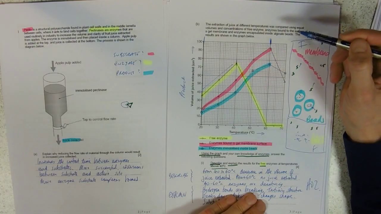 Key Assessment 3 Paper 1: Q1 Apple pulp MODEL ANSWER