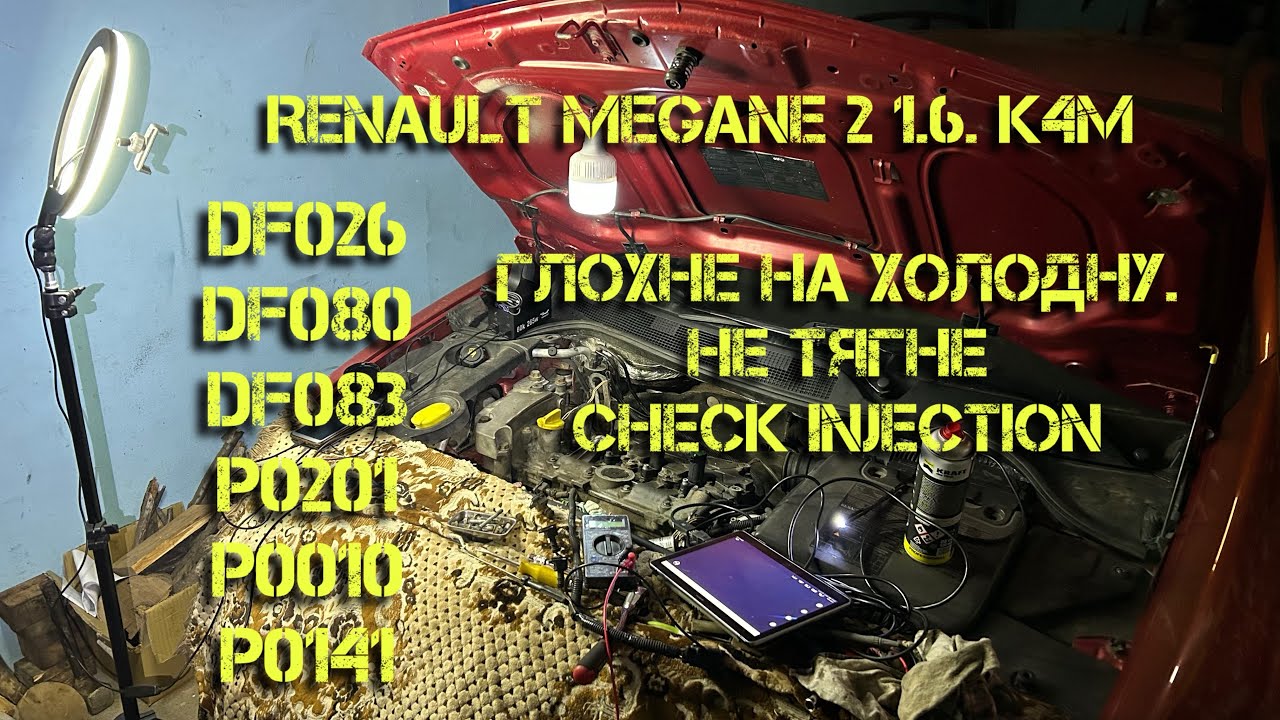 Будення з Renault Megane 2. Глохне на холодну, не тягне і Check Injection  DF026  DF080  DF083