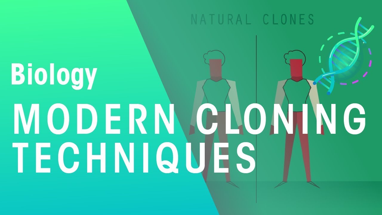 Modern Cloning Techniques | Genetics | Biology | FuseSchool
