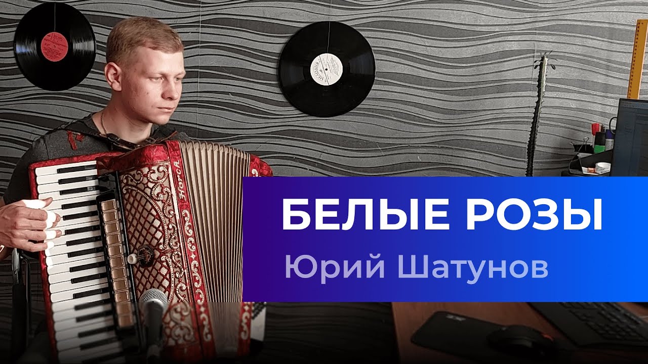 АККОРДЕОН. БЕЛЫЕ РОЗЫ [Юрий Шатунов. Ласковый Май. Кавер] Accordion Cover. Аккордеонист / Баянист
