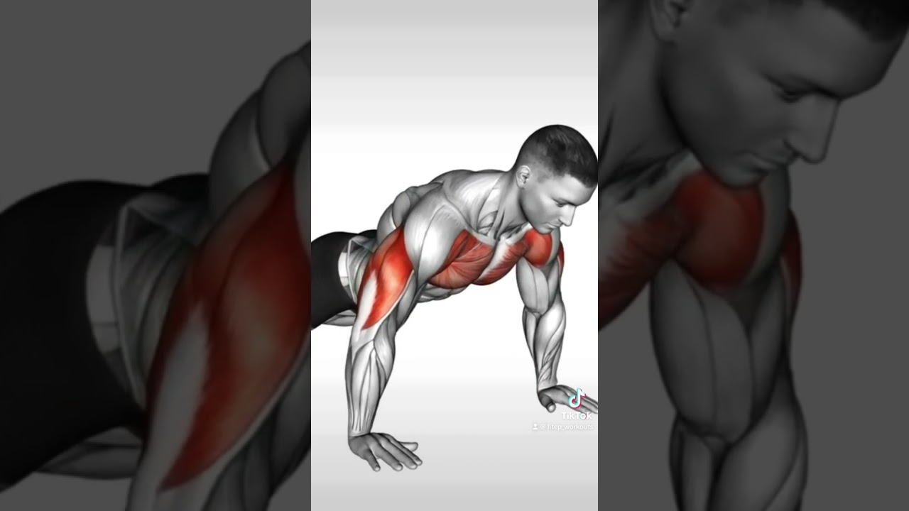 LIEGEST&Uuml;TZE F&Uuml;R BRUST VS TRIZEPS #brusttraining #trizepstraining #muskelaufbautipps