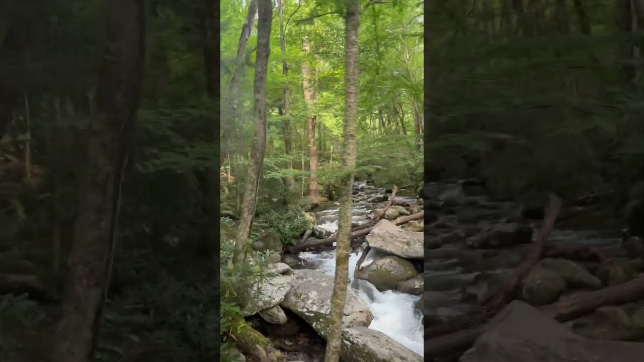#smokymountains #waterfall #summer #travel #kids
