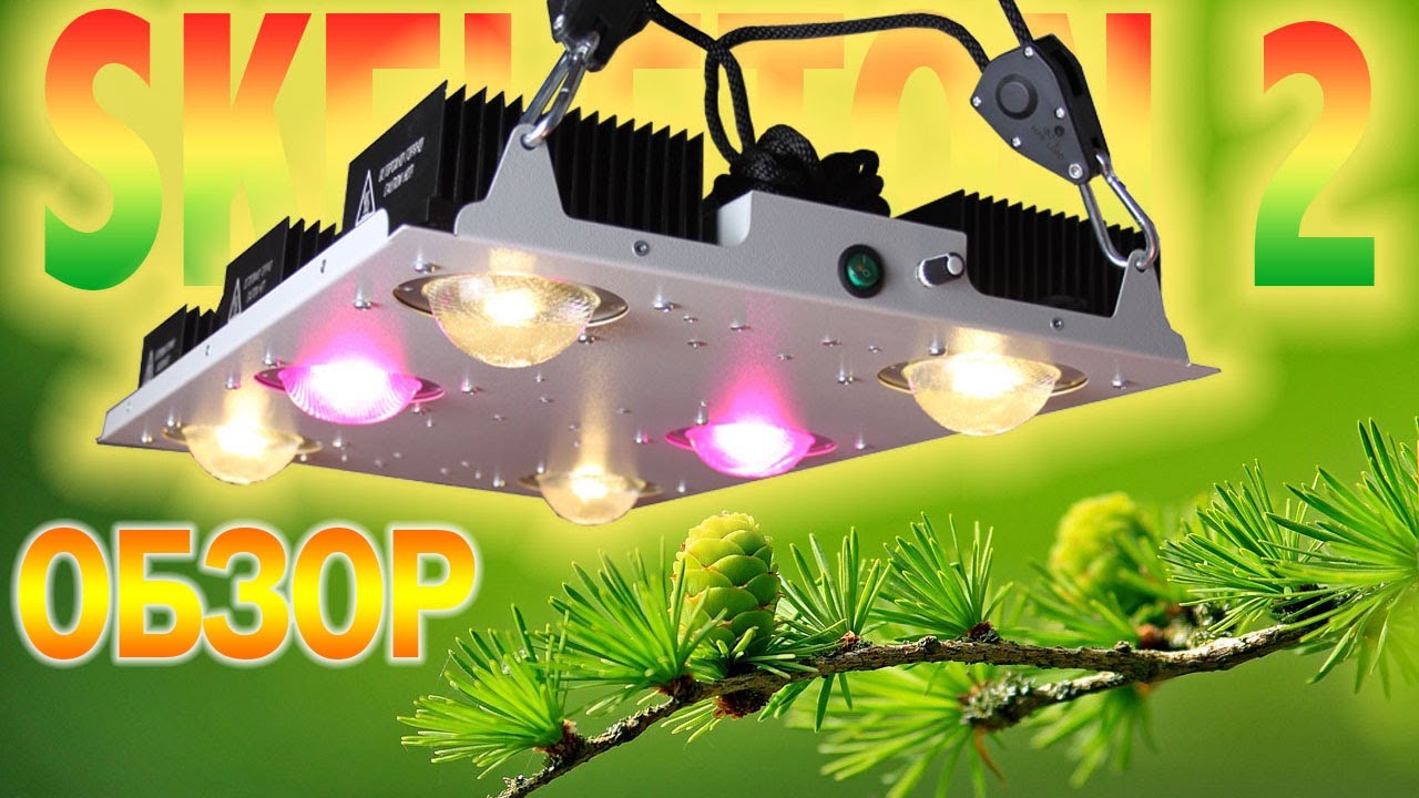 17. LED фитолампа Skeleton 2 600M от Big Cock Design ОБЗОР и ТЕСТ в Growmama