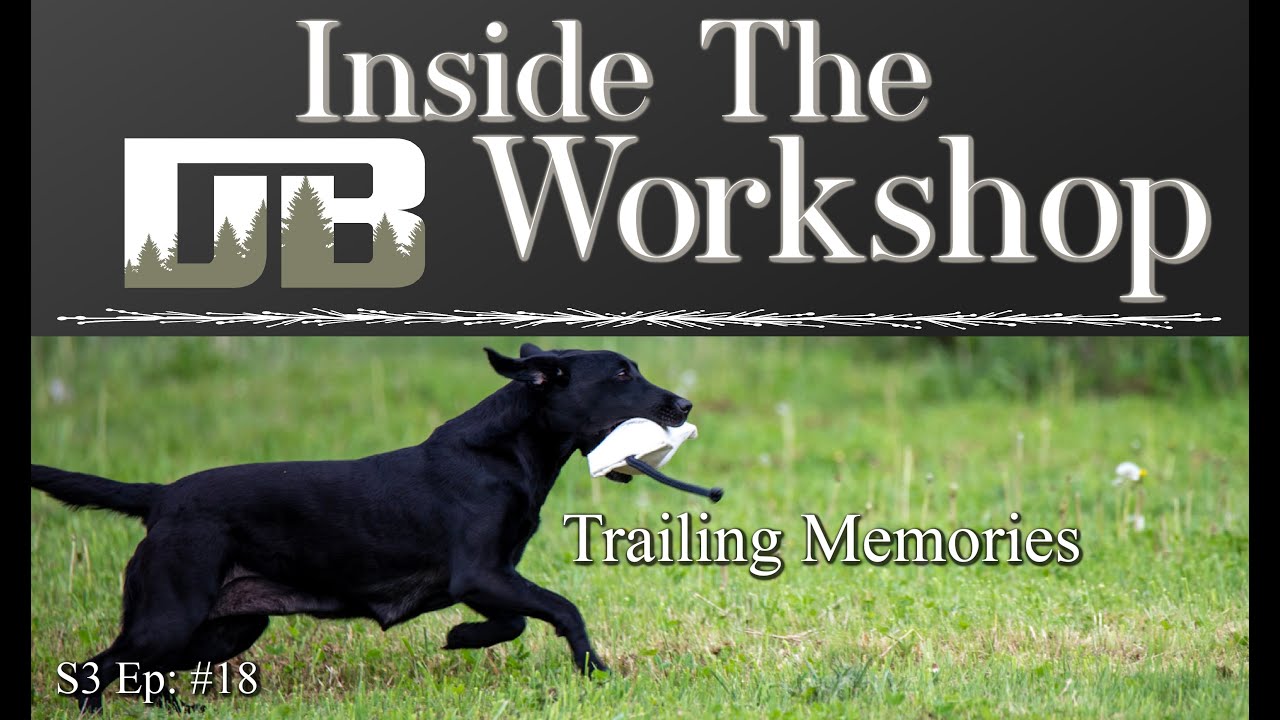 Retriever Training Drills: Trailing Memories | Ep: #18