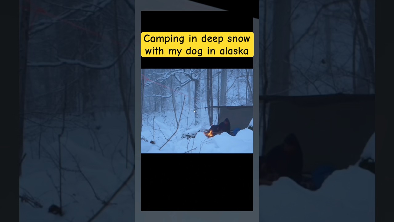 Camping in deep snow with my dog in alaska