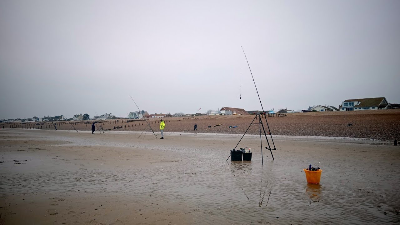 PEVENSEY BAY SEA FISHING AT LOW TIDE - SOCIAL MEET & FISH EVENT (JANUARY 2025) - SEA FISHING UK