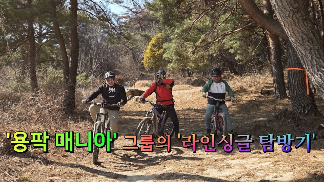 '용팍 매니아' 그룹의 '라인싱글 탐방기'
