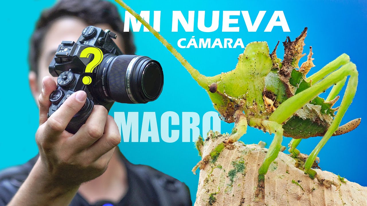 Mi NUEVA CÁMARA para MACRO / Apilado de imágenes 🐜​😯​