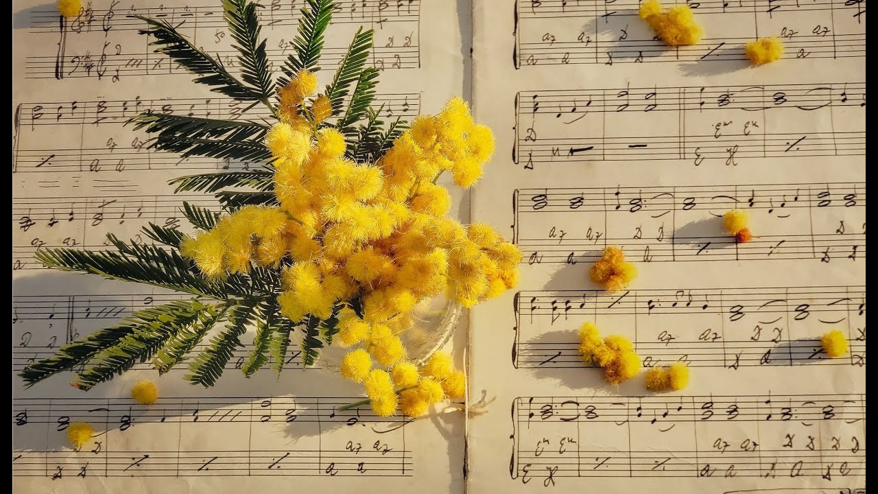 Relaxing Background Music for Study and Work