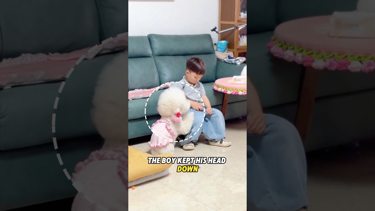 The mother inadvertently took a picture of the warm interaction between the puppy and the child#love